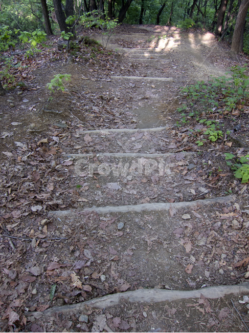 숲,숲속,숲속길,길,나무사이,자연,풍경,nature,landscape,dirt road,흙길,road,도로,gravel,자갈,ground,바닥