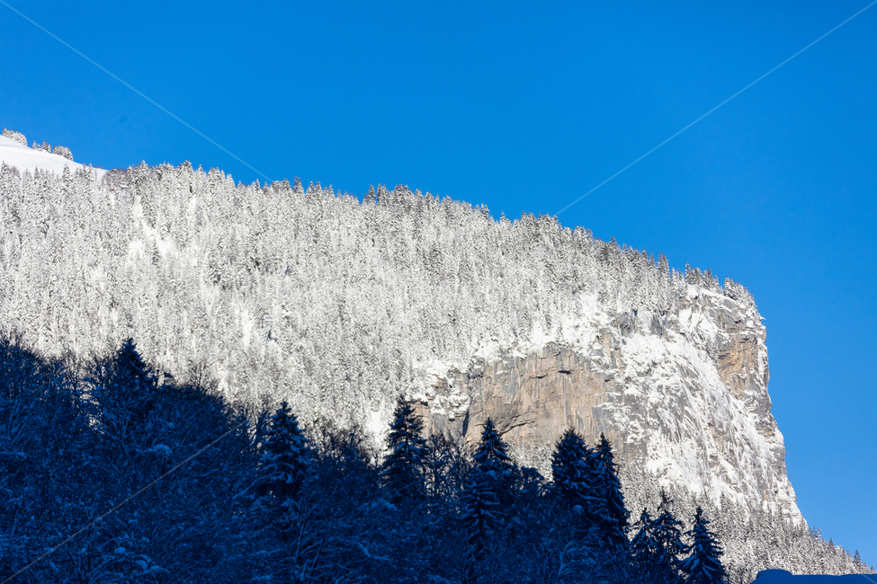 스위스,하늘,겨울,산,눈덮인,눈,숲,겨울,계절,winter,season,자연,풍경,nature,landscape,해외,외국,세계,foreign,oversea,world,세계자연풍경,해외자연풍경,외국자연풍경,world nature landscape,tree,나무,plant,식물,fir,전나무,abies,아비