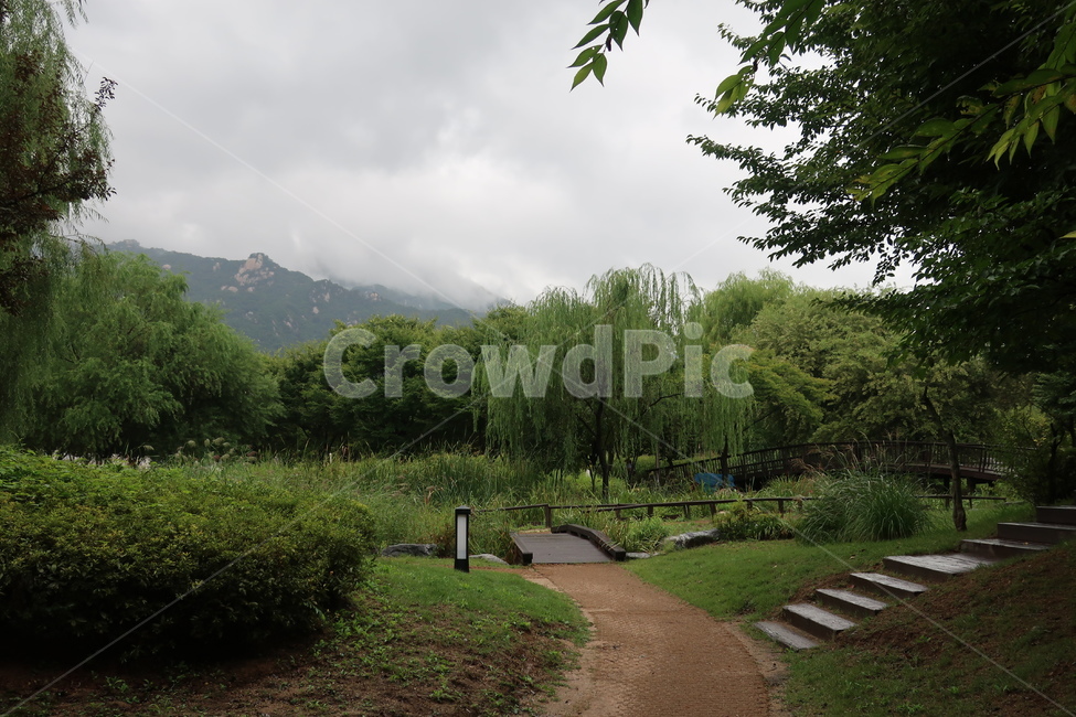 서울,창포원,식물원,도시,공원,습지,조성,숲,산책,산책로,자연,풍경,nature,landscape