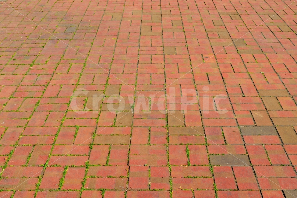 패턴,벽돌,바닥,주황,주홍,빨강,붉은,잔디,흙,땅,교차,무늬,텍스처,질감,패턴,texture,pattern