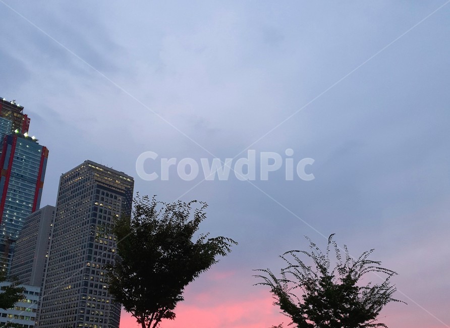 하늘,노을,구름,자유,풍경,도시,풍경,city,landscape