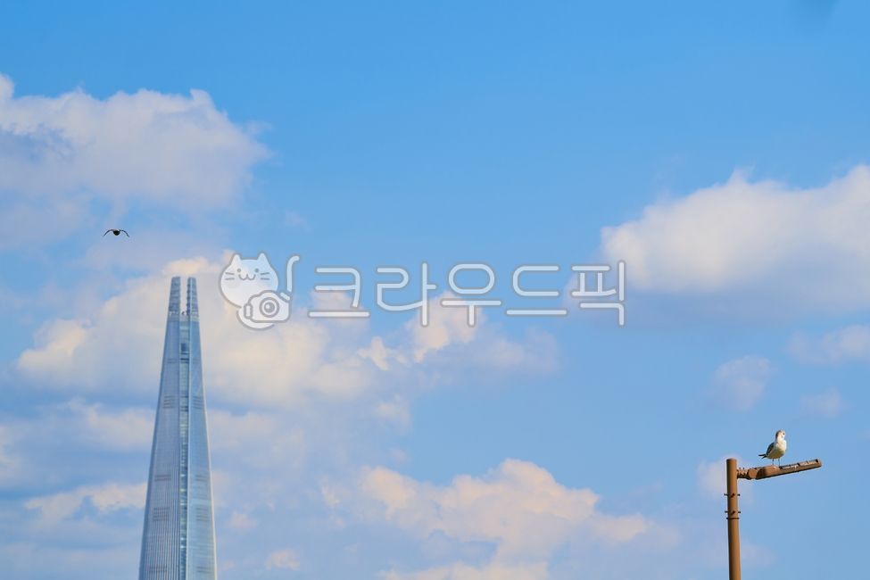 sky,blue sky,city,Lotte Tower,downtown,building,cloud,seoul,Lotte World Tower,Seagull,architecture,tower