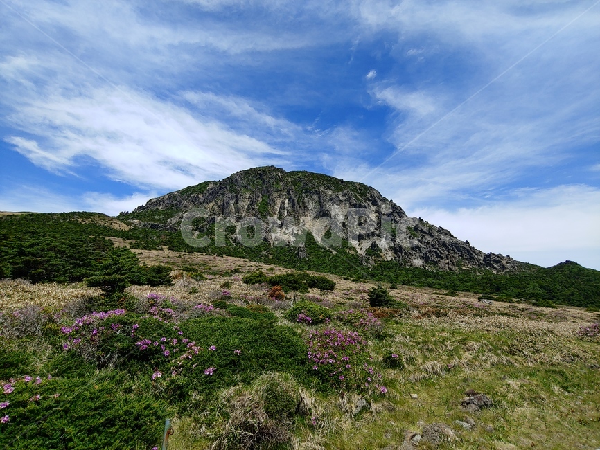 하늘,산,구름,들판,숲,mountain,sky,clouds,green,초록,등산,한라산,배경