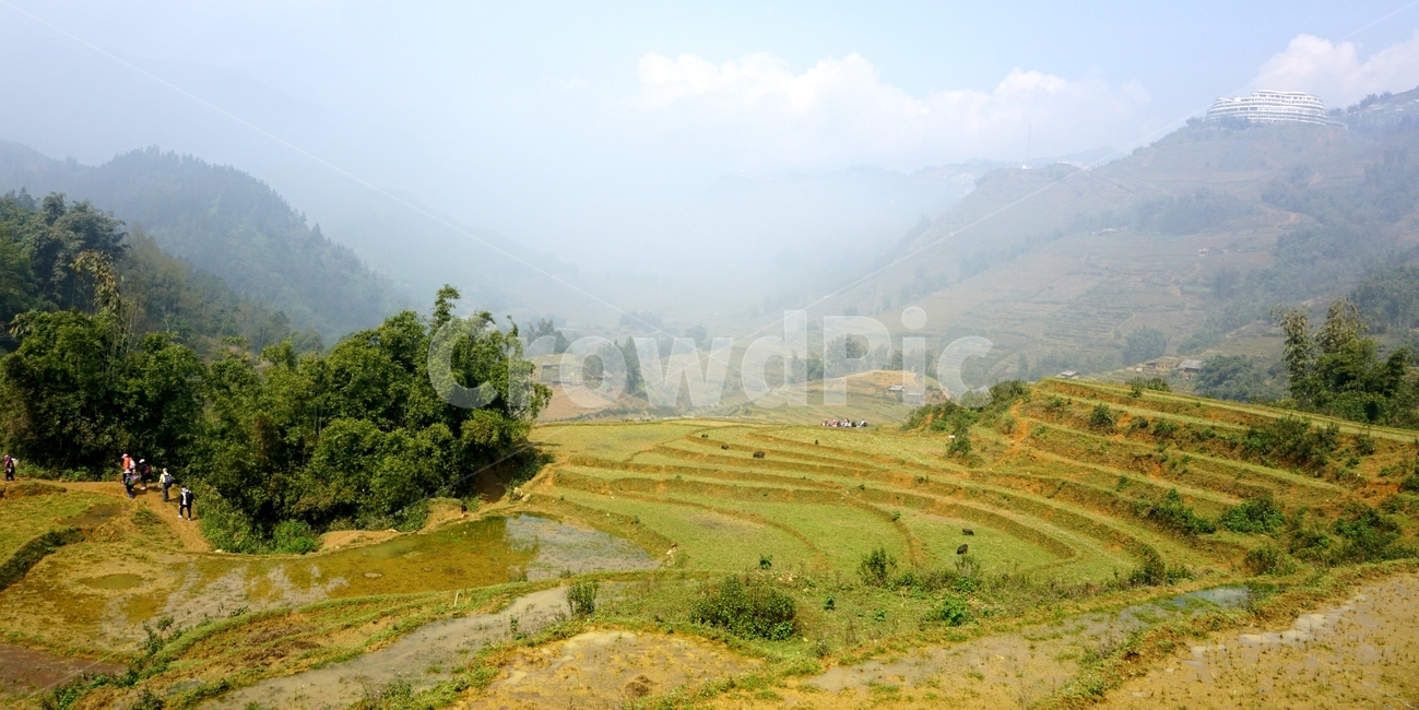 nature,grassland,자연,outdoors,옥외,paddyfield,countryside,패디필드,자연,풍경,nature,landscape