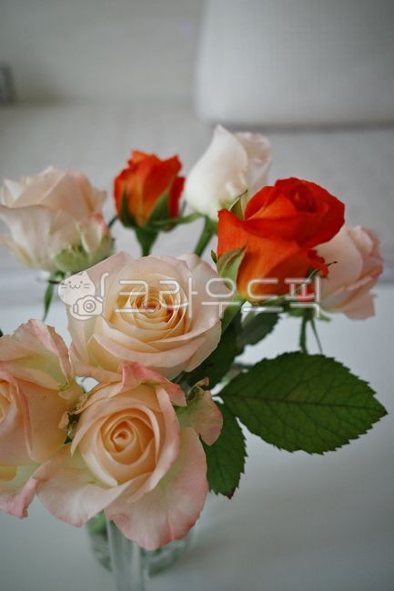 flower,꽃,flowerarrangement,꽃꽂이,rose,장미,flowerbouquet,꽃다발,빈티지,빈티지감성,감성,빈티지꽃,주황장미,아이보리장미,주황,주황색,아이보리,빈티지장미,배경화면,필름감성,필름