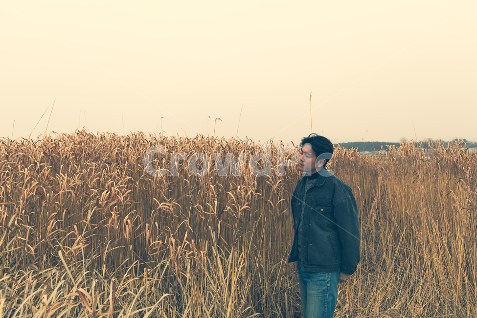 갈대,고독함,정취,외로움,서정적,가을,계절,fall,autumn,season,사람,인물,인간,human,person,남성,남자,man,male,고독함,외로움,쓸쓸함,우울함,슬픔,lonely,solitary,pants,바지