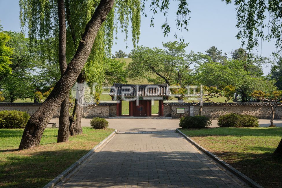 경주,대릉원,명소,관광지,한옥,유적지,역사,나무,돌담,gate,문,flagstone,판석,outdoors,nature,자연