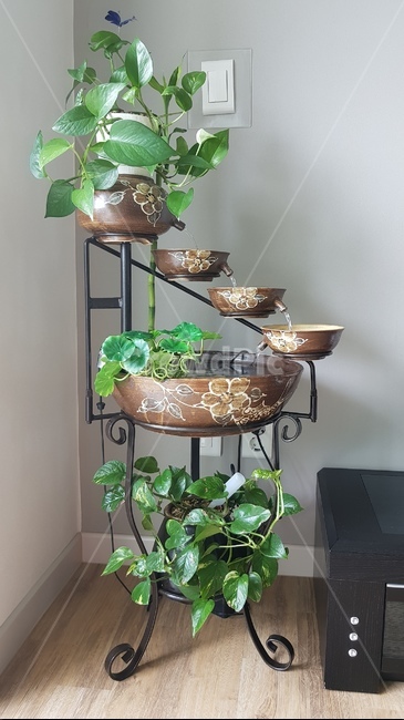 분수,화분,화분분수,거실,거실분수,실내용화초,화분,화초,house plant