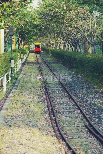 철로,기차,철도,미니기차,미니,train,road,railroad,mini,철길,교통,교통수단,traffic,transportation,rail,레일,train track,기찻길,railway