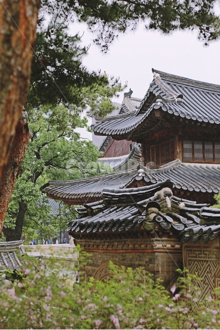 한옥,기와,기와지붕,tiledroof,koreanstylehouse,돌담,기와집,한국전통,한국문화,korean traditional,korean culture,건축물,건물외관,exterior,building,structure,architecture,construction