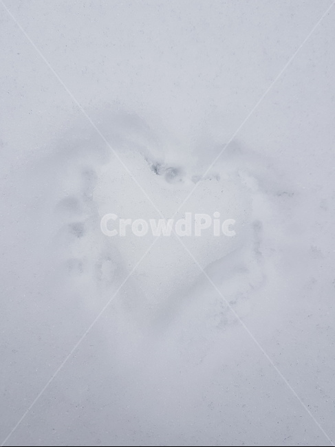 하트,눈,첫눈,눈밭,겨울,겨울,계절,winter,season