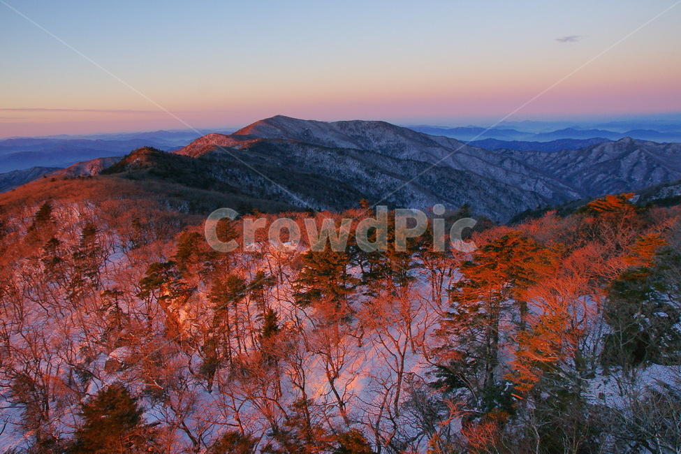 지리산,산그리매,능선,산,산골짜기,겨울,계절,winter,season,자연,풍경,nature,landscape,한국자연풍경,한국자연경관,korea nature landscape,tree,나무,plant,식물,abies,아비,fir,전나무,mountain,outdoors,옥외,mountain range,산맥