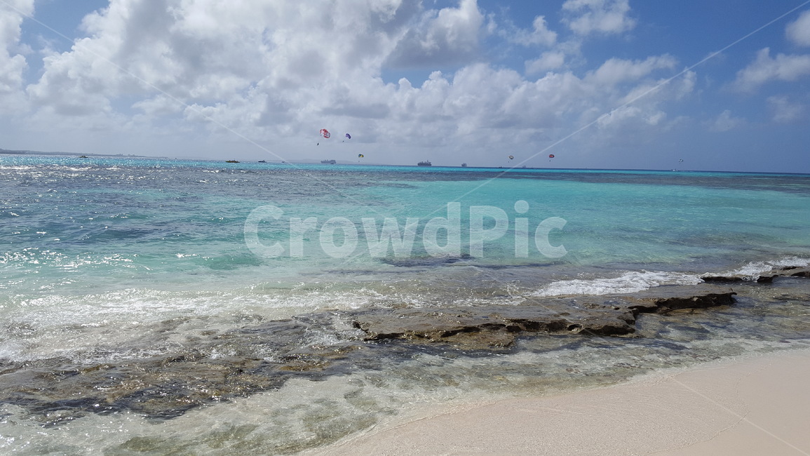 사이판,마나가하섬,바닷가,해초,saipan,managaha,ocean