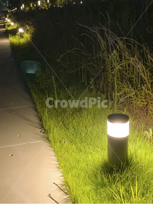 야경,전등,산책로,길,산책,잔디,풀,조명,분위기,mood,lamp,grass,trail,walktrai,path,nightview
