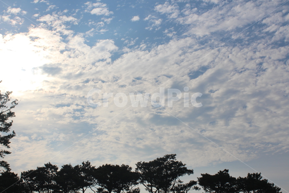 구름,하늘,sky,cloud,나무