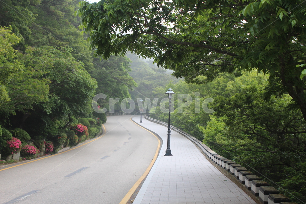 커브길,산책로,태종대,수목로,밝은산책로,가로등,자연,풍경,nature,landscape,road,도로,path,통로