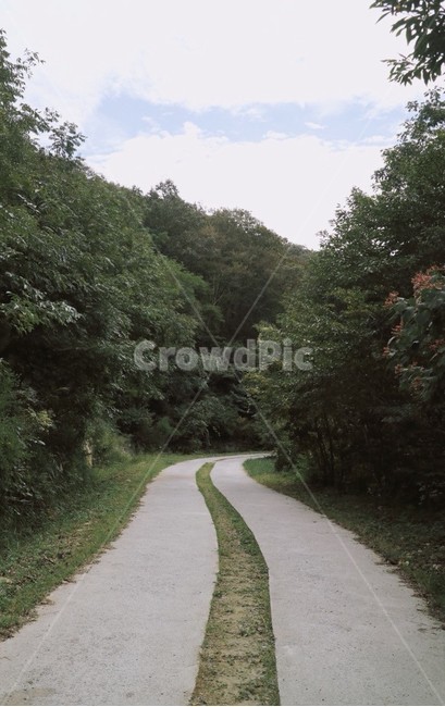 산,풍경,길,등산,자연,봄,자연,풍경,nature,landscape,path,통로