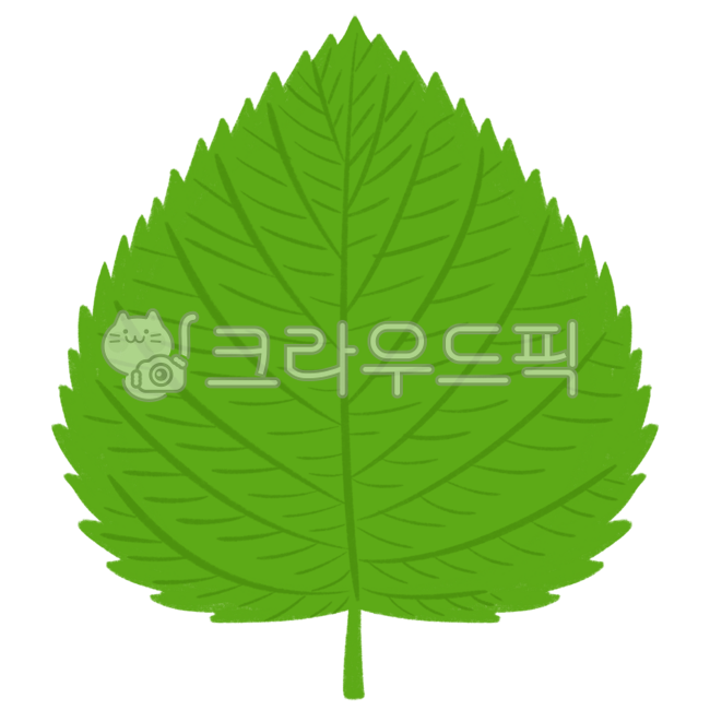 청과물,야채,채소,과일,과일가게,야채가게,채소가게,농작물,장보기,장바구니,과일바구니,깻잎,야채쌈,쌈채소,농산물