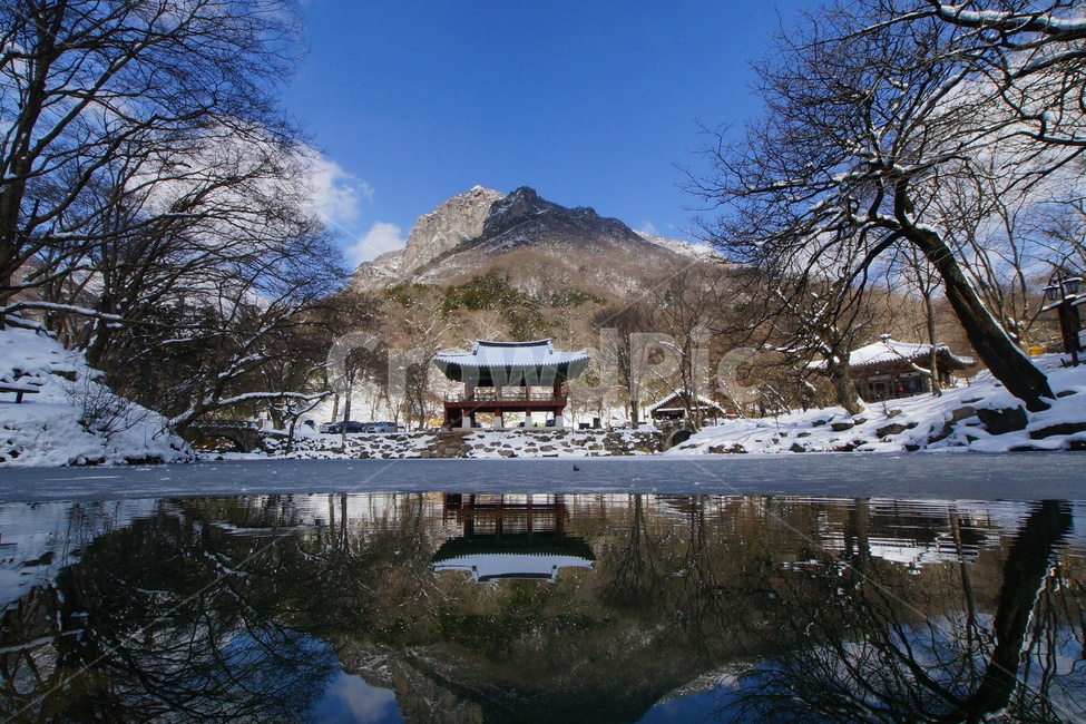내장산,백양사,쌍계루,설경,국립공원,겨울,계절,winter,season,자연,풍경,nature,landscape,한국자연풍경,한국자연경관,korea nature landscape