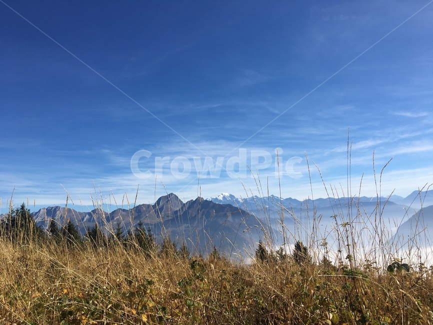 산,알프스,산맥,프랑스,등산,정상,봉우리,구름,정복,자연,풍경,nature,landscape,해외,외국,세계,foreign,oversea,world,세계자연풍경,해외자연풍경,외국자연풍경,world nature landscape,grass,잔디,plant,식물,lawn,reed,갈대