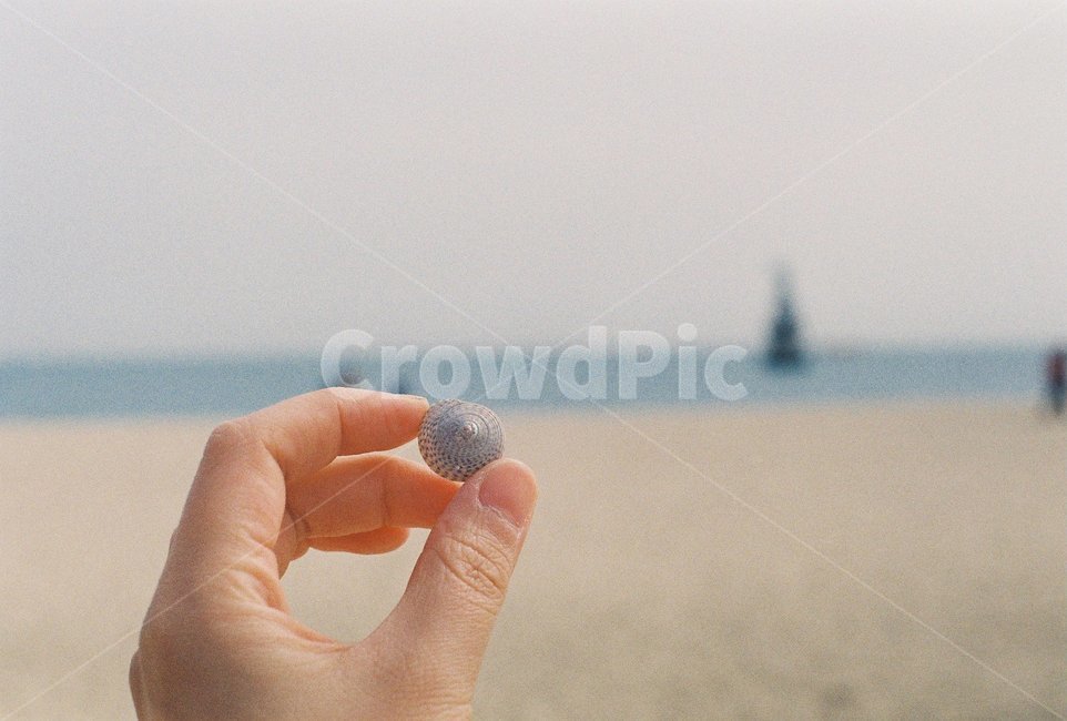 손,바다,모래,조개,조개껍데기,hand,sea,sand,shellfish,해변,해운대,해변,바다,beach,sea,사람,인물,인간,human,person,신체일부,몸,body,감성,sensible,feeling