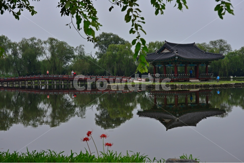 architecture,건축물,building,건물,tree,나무,plant,식물,human,인간,person,사람,nature,자연,water,물,outdoors,옥외,부여,궁남지,여름,계절,궁남지여름,반영