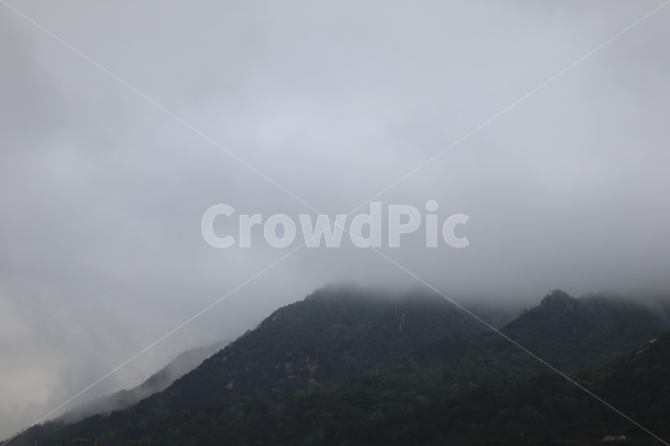 용봉산,구름,비,나무,봄,흐림,자연,풍경,nature,landscape,한국자연풍경,한국자연경관,korea nature landscape,weather,날씨,outdoors,옥외