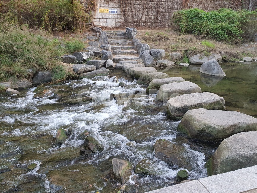 돌다리,징검다리,하천,시냇가,시냇물,water,물,nature,자연,outdoors,옥외,다리,walkway