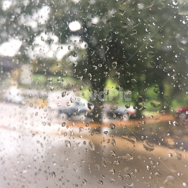 비,물방울,비오는날,흐린날,도로,빗방울,rain,rainyday,gray,street,trees,cars,비,비오는날,rain,rainy,텍스처,질감,패턴,texture,pattern