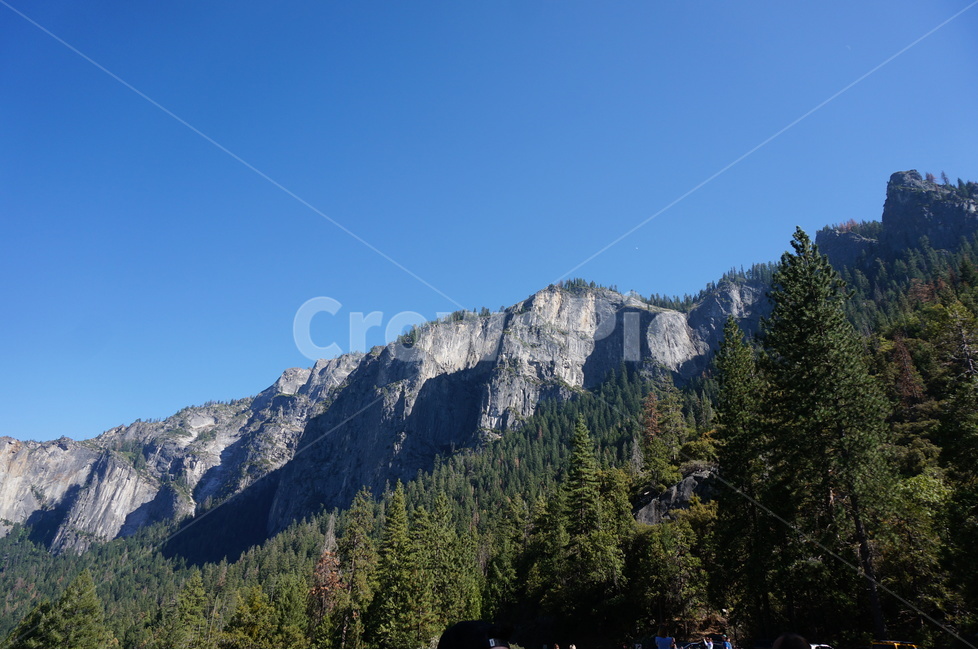 외국,미국,캘리포니아,요세미티,요세미티국립공원,산,바위,yosemitenationalpark,yosemite,califonia,자연,풍경,nature,landscape,해외,외국,세계,foreign,oversea,world,세계자연풍경,해외자연풍경,외국자연풍경,world nature landscape,tree,나무,plant,식물,fir,전나무,abies,아비