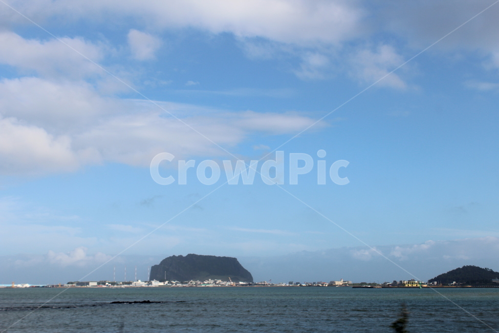 제주,제주도,바다,나무,야자수,여유로움,여유,nature,자연,outdoors,푸른하늘,sky,하늘,ocean,water,sea,물,날씨,land,땅,대양,coast,연안