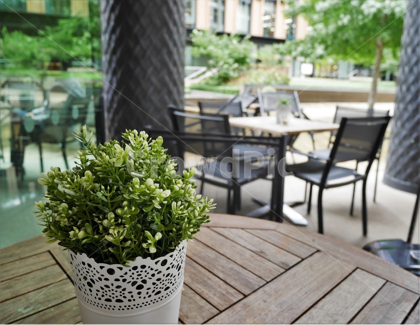 chair,의자,plant,식물,화분,카페,cafe,인테리어,실내디자인,interior design