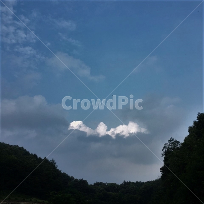 파란하늘,한국,풍경,자연,구름,숲,나무