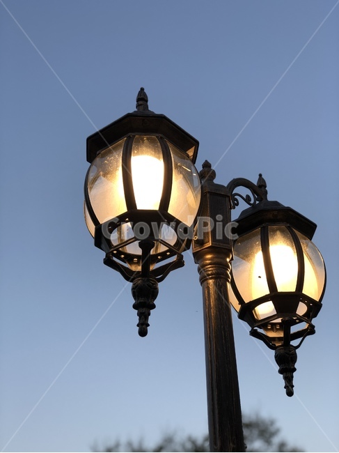 lamp,램프,lampshade,조명,가로등