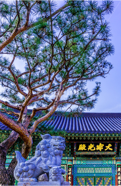 기와,석조물,문화유산,문양,사자상,건축,한국전통,한국문화,korean traditional,korean culture,건축물,건물외관,exterior,building,structure,architecture,construction