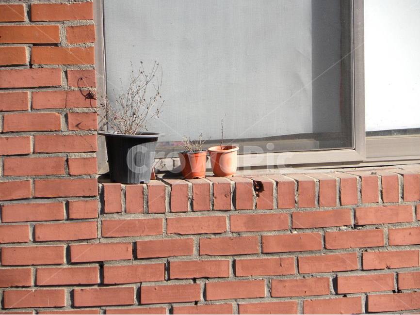 화분,따뜻함,햇빛,창문,벽돌,flowerpot,pot,warm,sunlight,window,brick,건축물,건물외관,exterior,building,structure,architecture,construction
