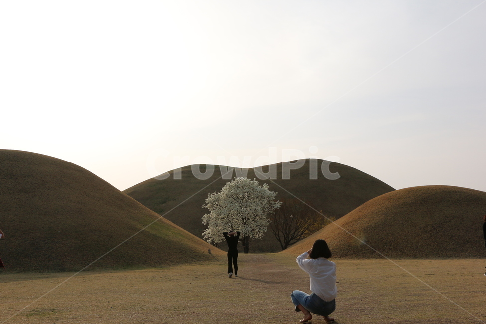 경주,천마총,언덕,산,여자,나무,grassland,목초지,field,들,outdoors,옥외,human,인간,사람,사진작가,포토그래퍼,photographer