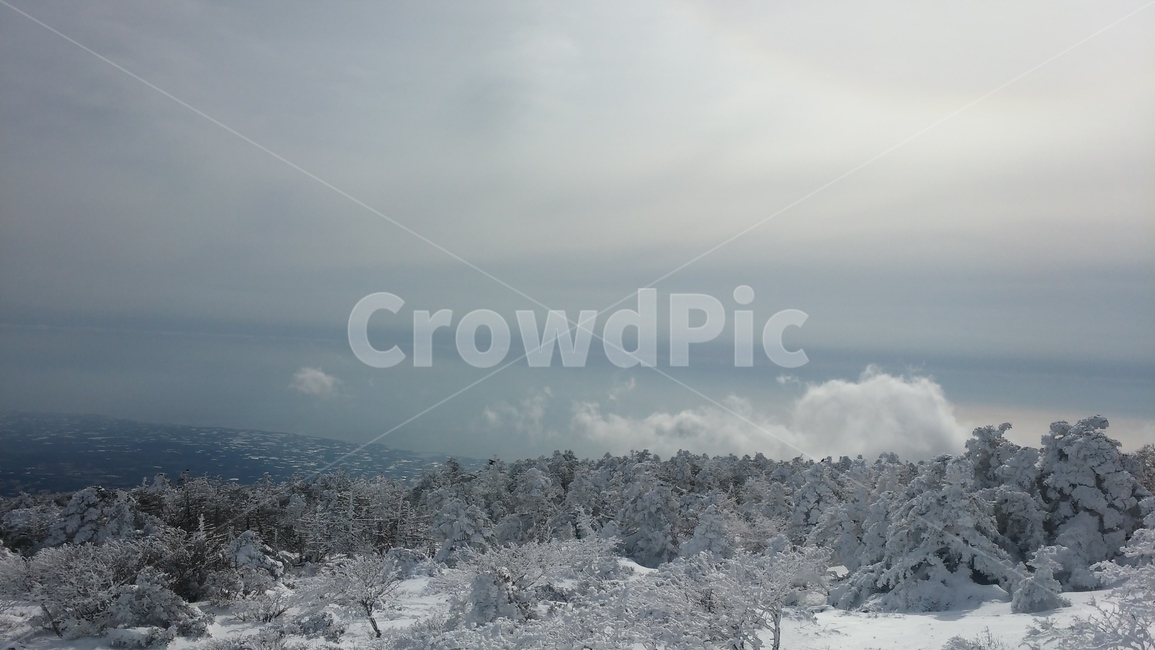 눈,산,하늘,구름,눈쌓인나무