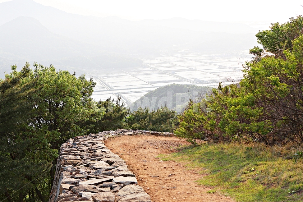 성,전등사,전등사성곽,돌담,숲길,자연,배경,풍경
