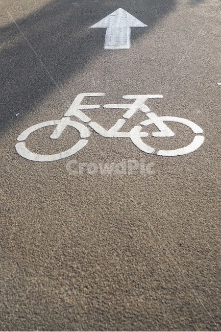 도로표지,자전거전용,전진,일방통행,흰색,도로,sign,white,road,forward,bicycle,교통,교통수단,traffic,transportation