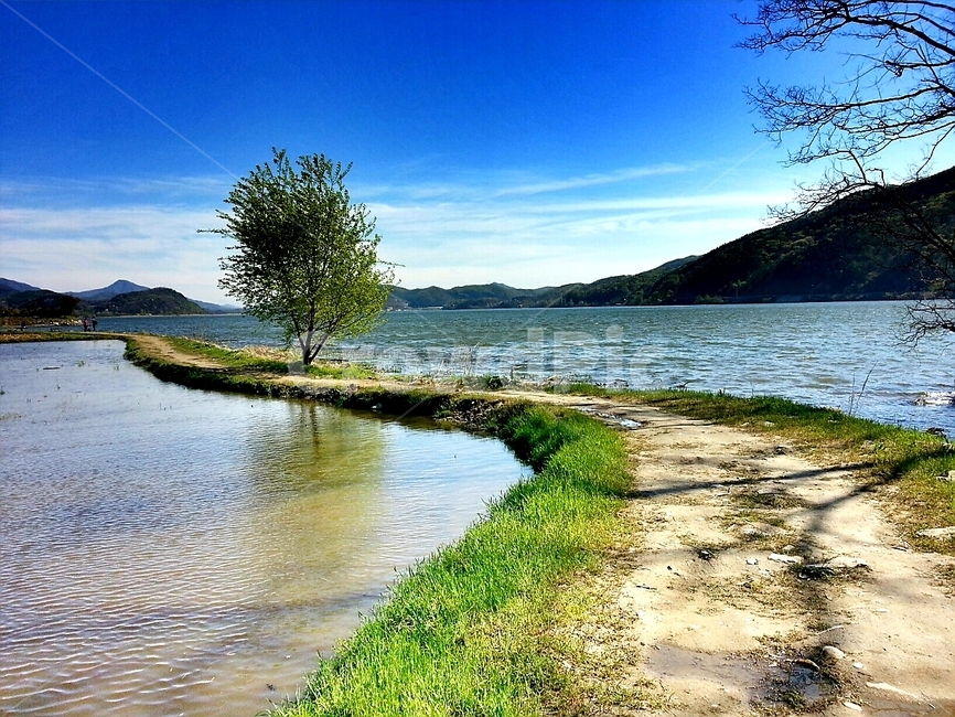 남양주,능내리,강,외톨이나무,길,자연,풍경,nature,landscape,water,물,outdoors,옥외