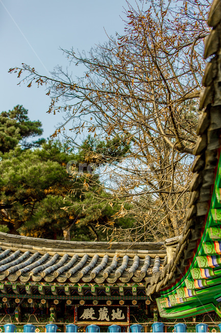 선,패턴,감성,단청,기와,전통기와,추녀,지붕,사찰,한국전통,한국문화,korean traditional,korean culture,건축물,건물외관,exterior,building,structure,architecture,construction