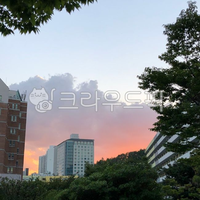 city,housing,house,building,cloud,cityscape,office building,high rise building,architecture,sky,officebuilding,nature,tree,condo,neighbor,highrise,outdoors,apartmentbuilding,neighborhood,apartment