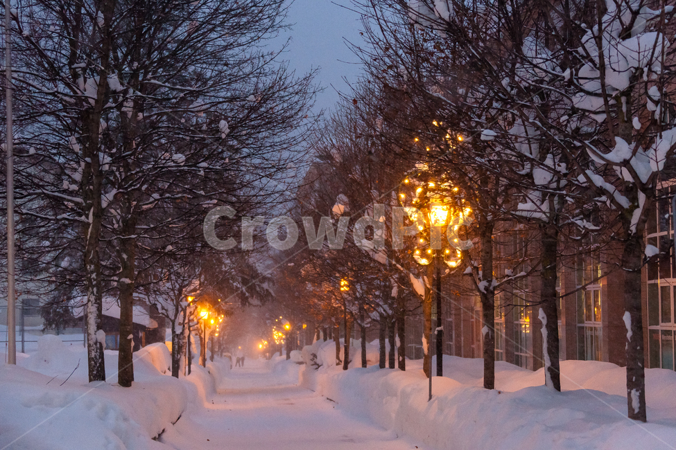 가로등,눈,빛,겨울,조명,스위스,밤,전구,날씨,바람,겨울,계절,winter,season,자연,풍경,nature,landscape,야경,밤,nightscape,night,storm,폭풍,outdoors,옥외,blizzard,눈보라,snow