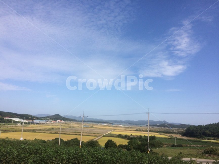 논밭,하늘,풍경,구름,sky,cloud,배경,시골,자연,풍경,nature,landscape,outdoors,옥외