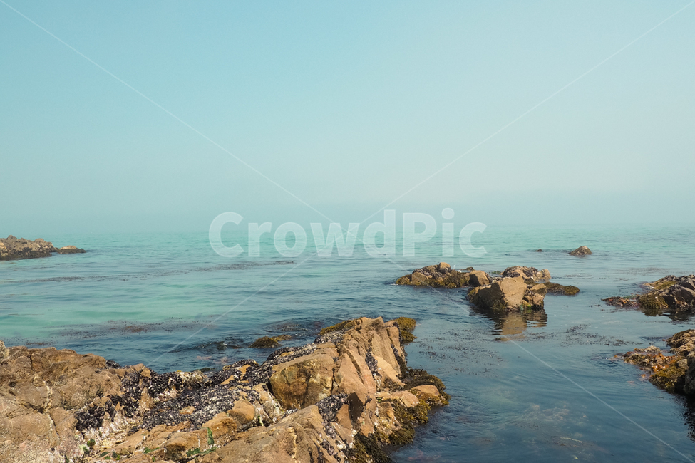 바다,정동진,바닷가,sea,beach,정동진바다