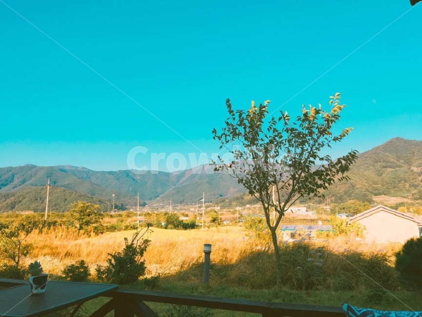 오후분위기,풍경,오후,햇살,오후풍경,자연,풍경,nature,landscape