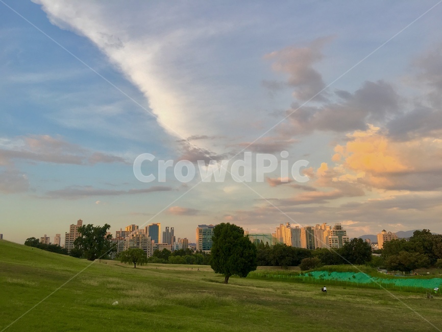 올림픽공원,나홀로나무,노을,풍경,잔디,해질녘,해질무렵,하늘,구름,olympicpark,seoul,서울,alonetree,sunset,landscape,park,공원,grass,green,초록,보라,주황,violet,purple,orange,picnic,tree,나무,한국,한국자연풍경,한국자연경관,korea,korealandscape,koreanaturelandscape,도시,풍경,city,landscape,field,들,outdoors,옥외,plant,식물,golf course,골프 코스