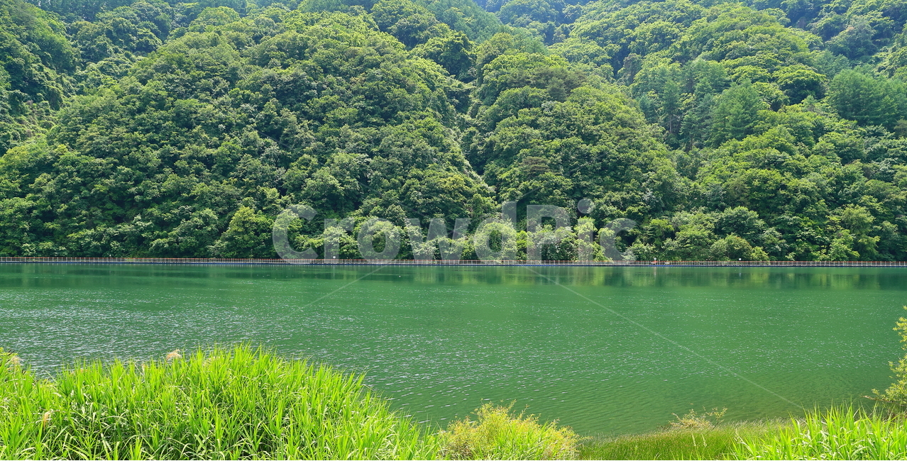 산소길,북한강,여름,화천,강변,자연,풍경,nature,landscape,water,물,outdoors,옥외