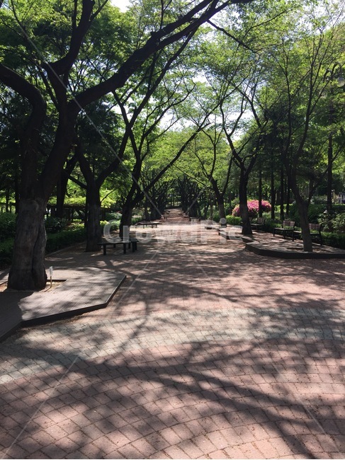산책길,공원,자연,풍경,경치,오후